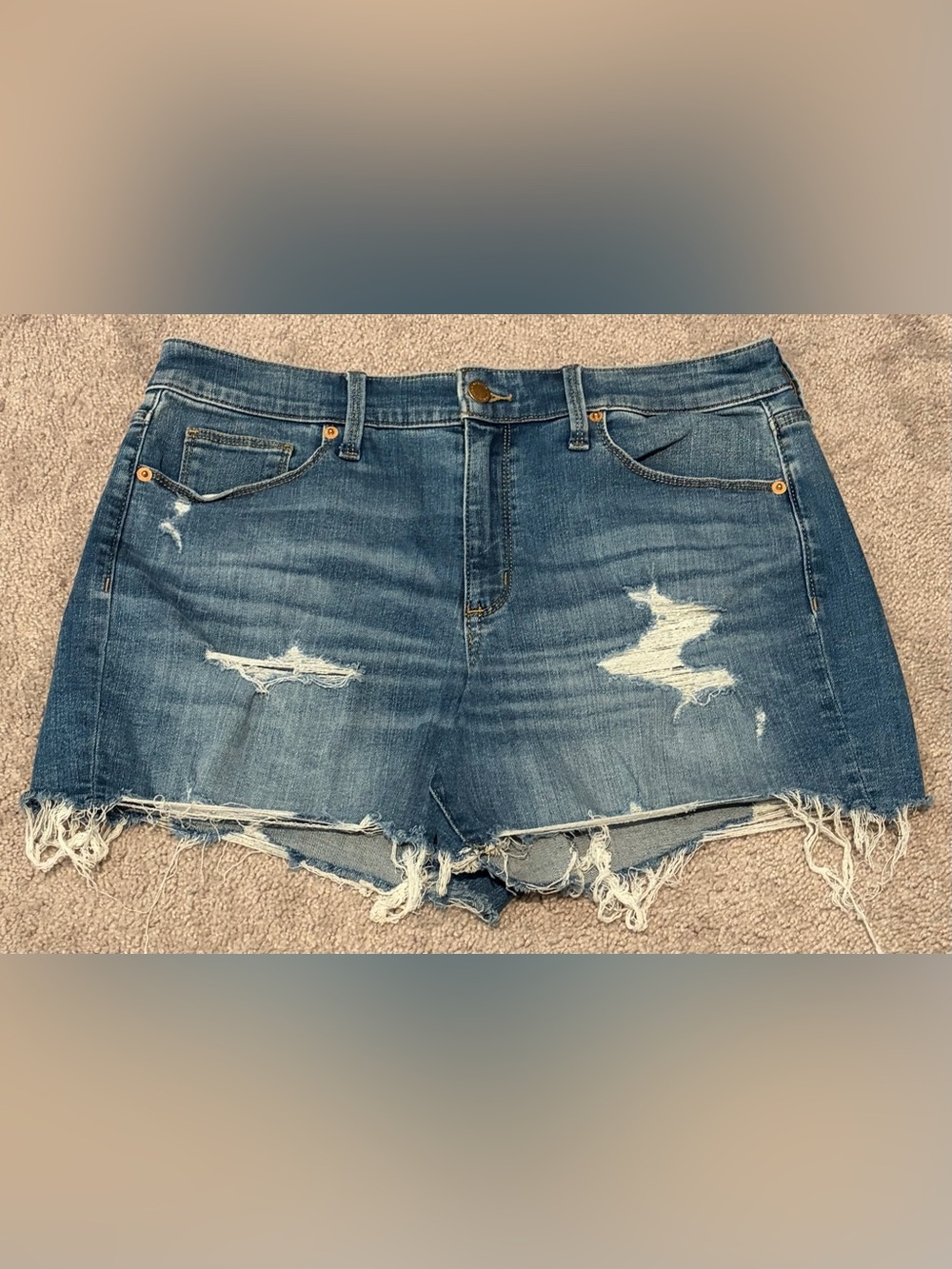 Universal Thread Women’s High Rise Midi Distressed Denim Shorts 12/31 (34x4)